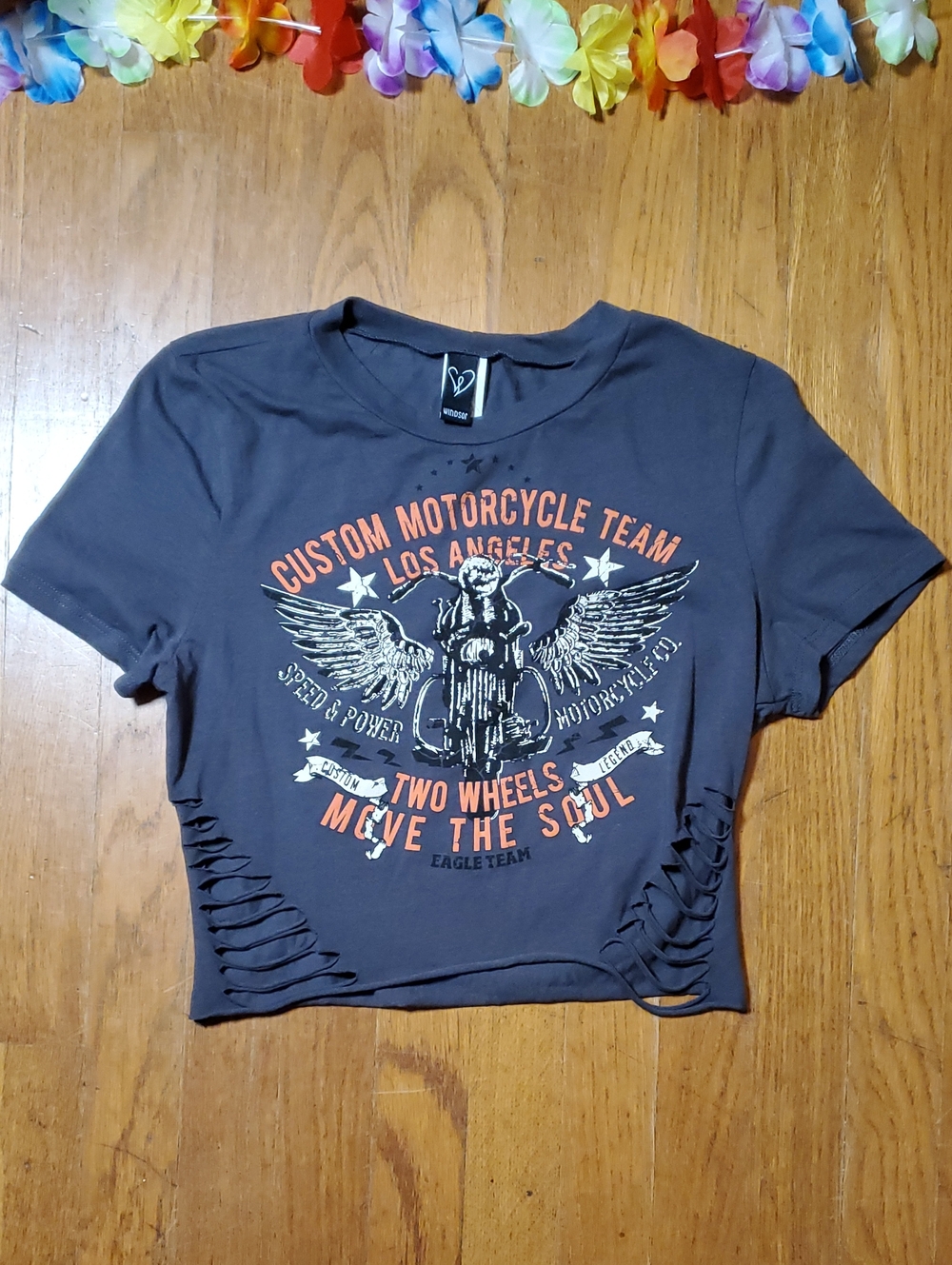 Custom Motorcycle Team Graphic Cropped And Distressed - Picture 1 of 9